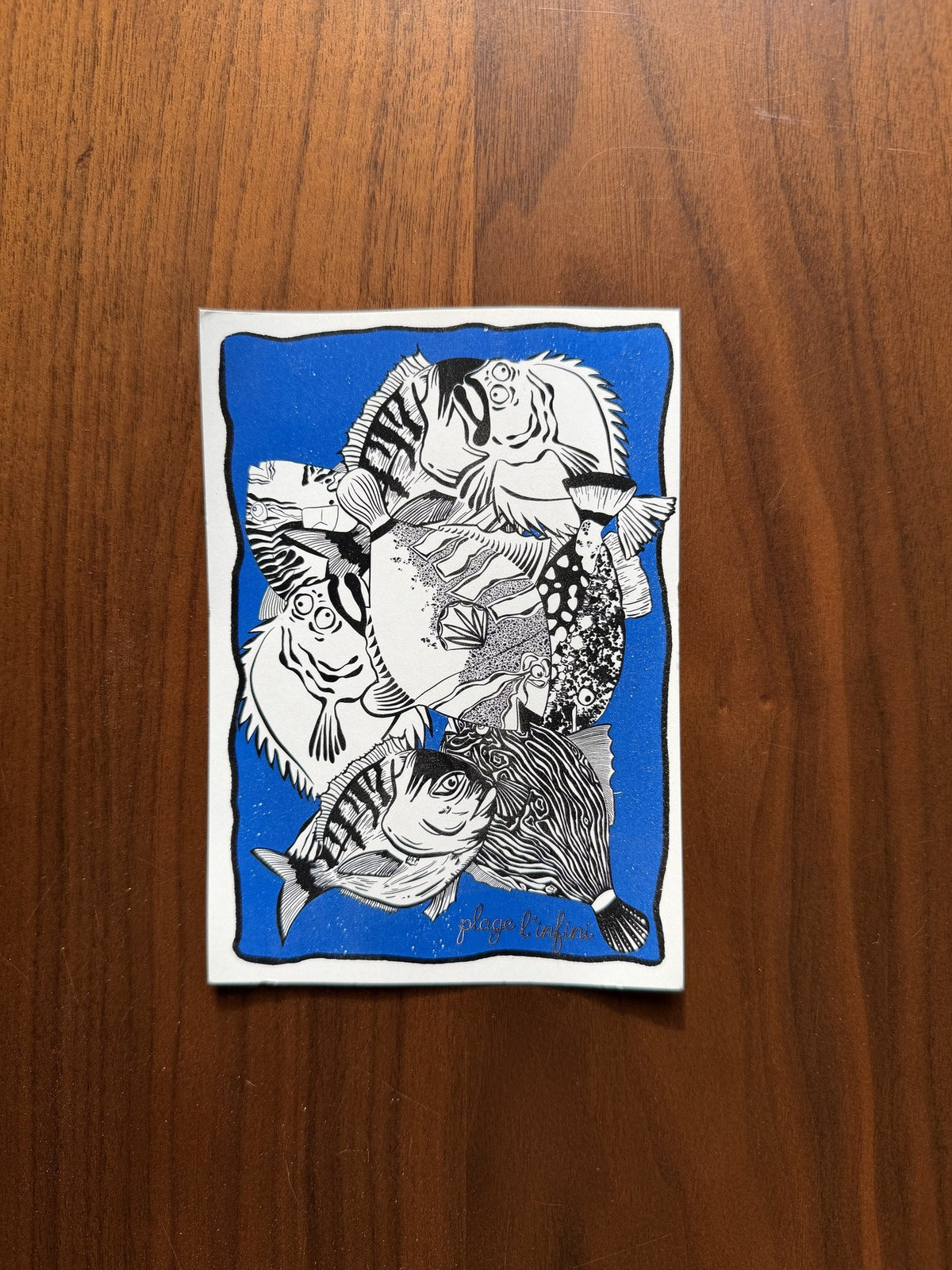 Carte « Les trésors de la mer » — bleu